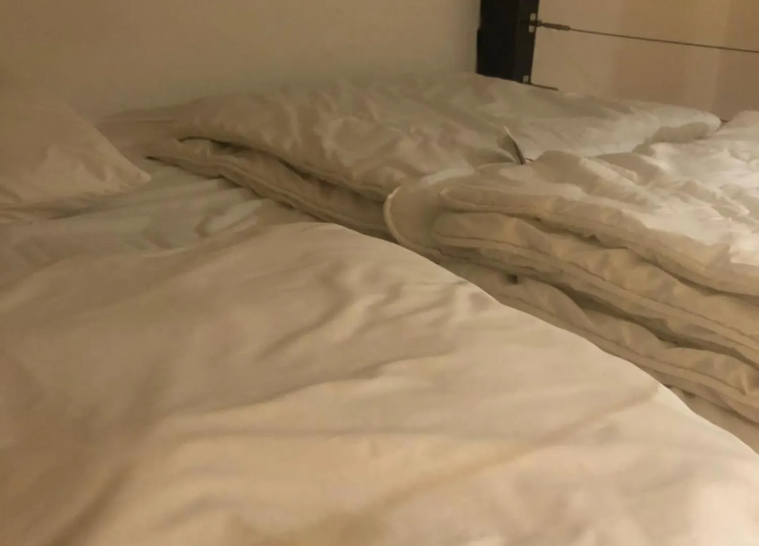 Agreable Studio 4 Personnes Rdc 5Min A Pieds Du Centre, Des Remontees Et Des Thermes Cauterets Apartment