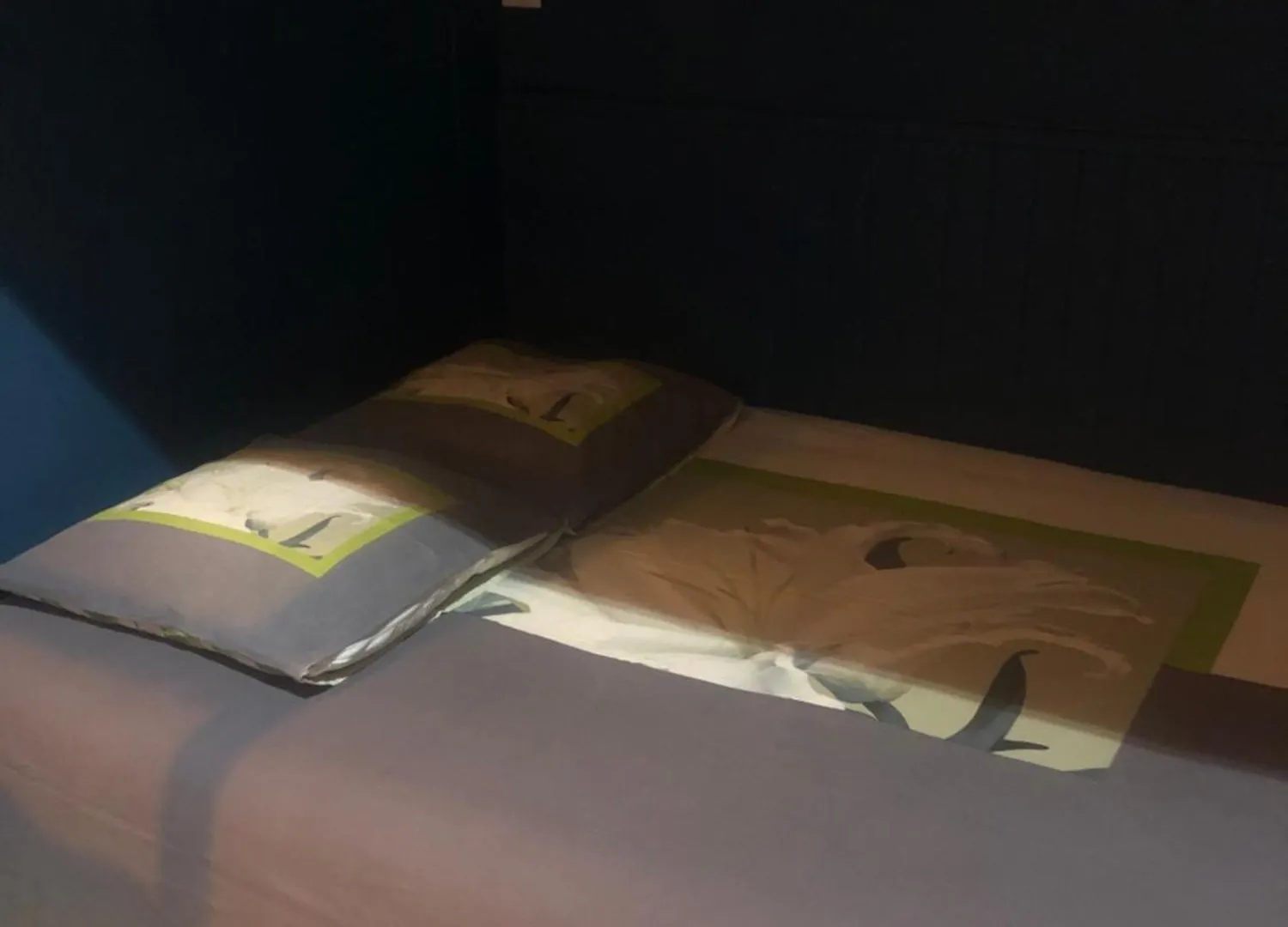 Agreable Studio 4 Personnes Rdc 5Min A Pieds Du Centre, Des Remontees Et Des Thermes Cauterets